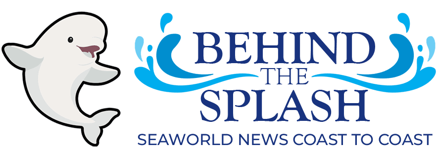 Behind the Splash