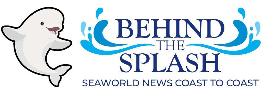 Behind the Splash