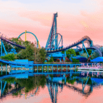 Mako rollercoaster