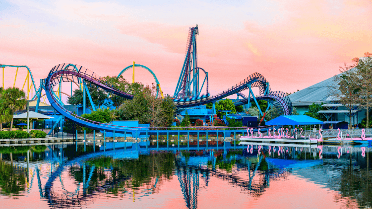 Mako rollercoaster