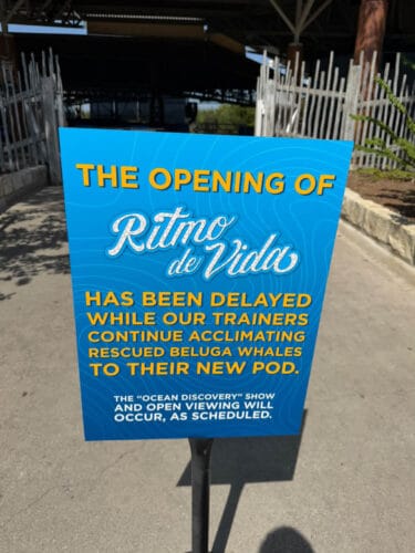 Ritmo de Vida - Spooktacular Beluga and Dolphin Show - Delayed