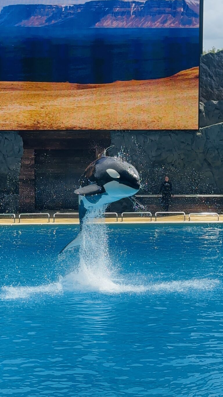 Nalani Jumping
