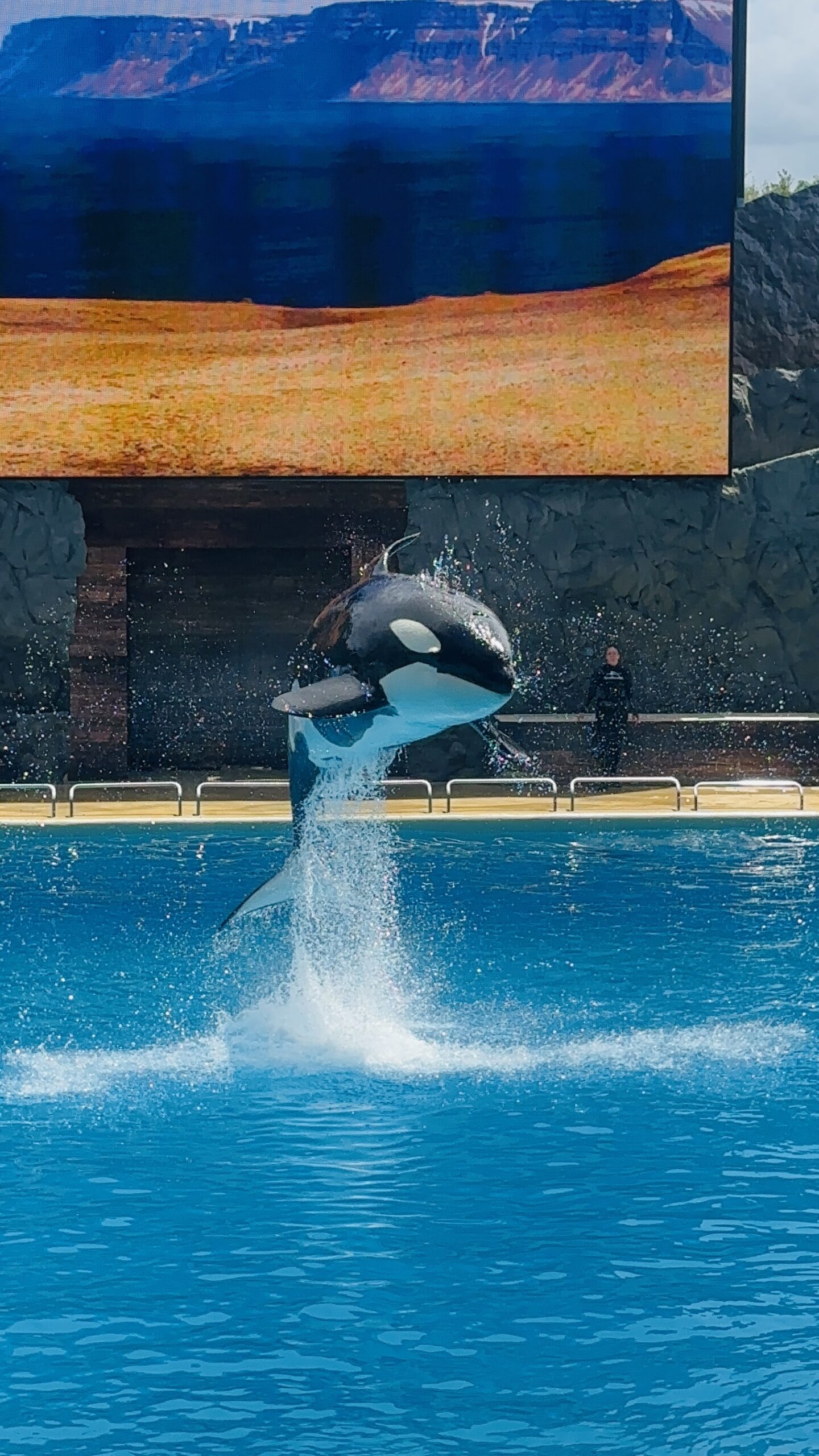 Nalani Jumping