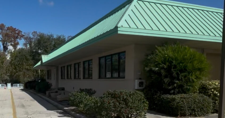 Seaworld Orlando Rescue Center