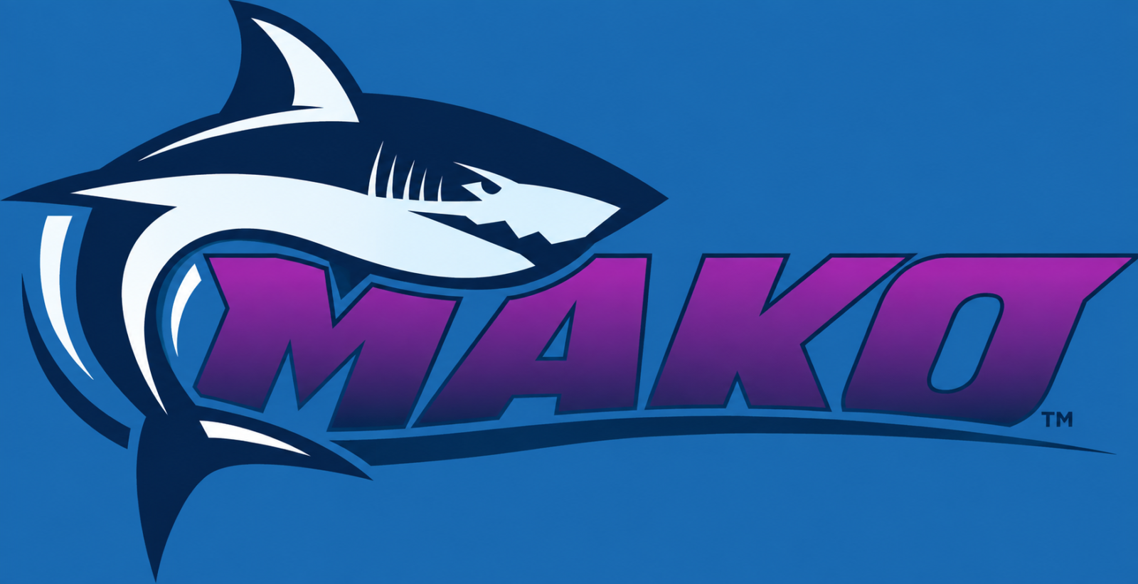 SeaWorld Orlando - Mako Hypercoaster